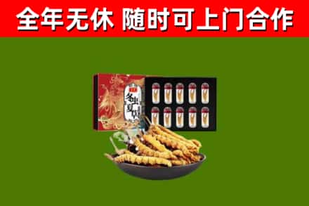 田林回收冬虫夏草价格